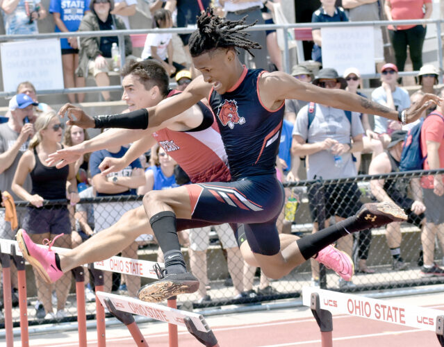 Locals place at Ohio track and field championships News, Sports, Jobs